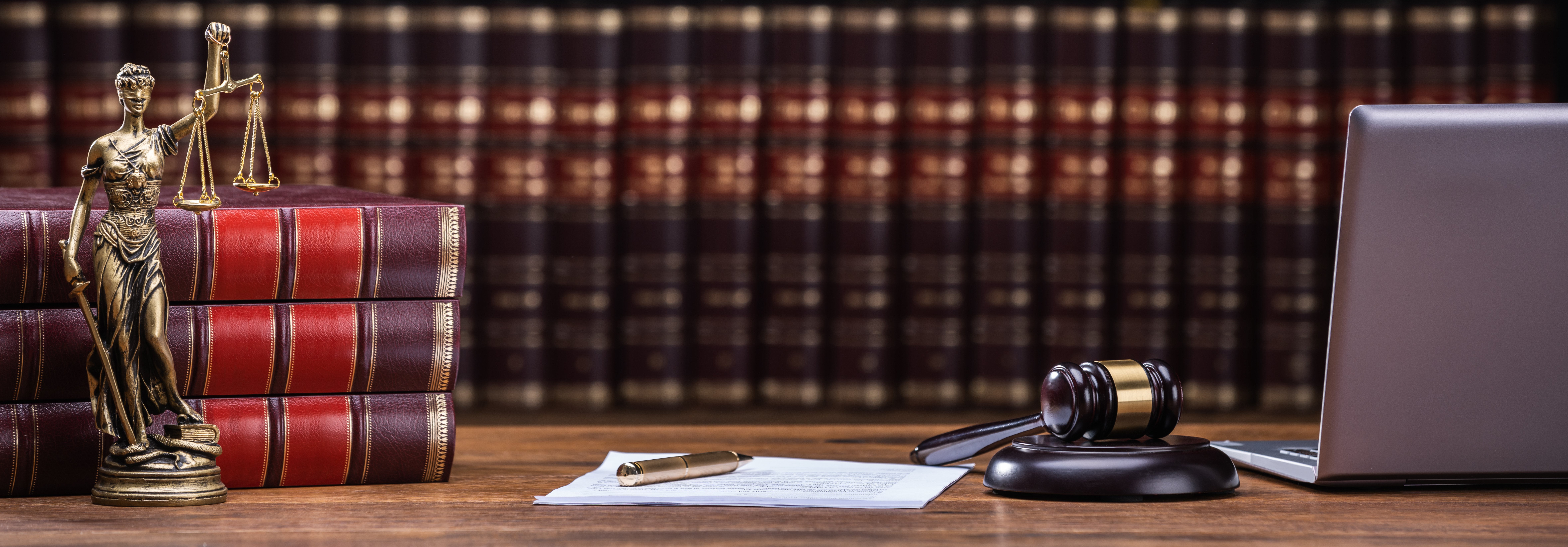 Litigation Strategies/Expert Witness