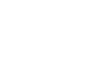 ampion-logo